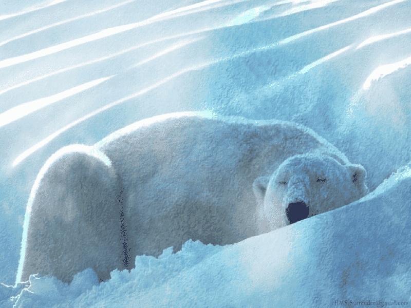 <strong>调试管理规定（昆明惠世试管）</strong>